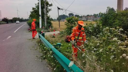 淮北公路濉溪分中心全面铺开夏季路域环境优化工作