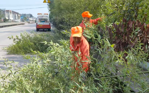 淮北公路濉溪分中心
开展路域环境整治专项行动